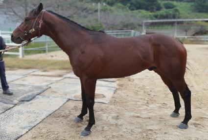 ����è�� ����