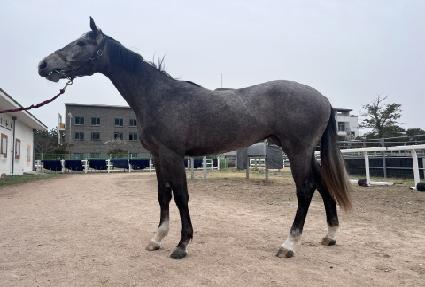 �ٸ�� ����