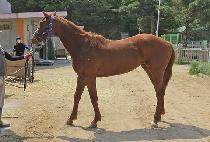 ������� (SPECIAL HILL) ����