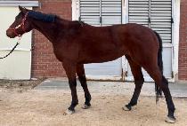 ������Ʈ (BLUE HEART) ����