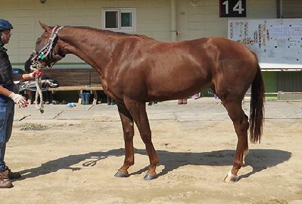 ������Ƽ ����