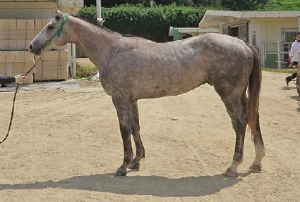 ���ʹ��÷��� ����