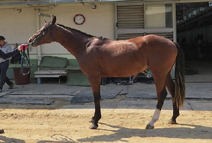 �����Ƶ�� ����