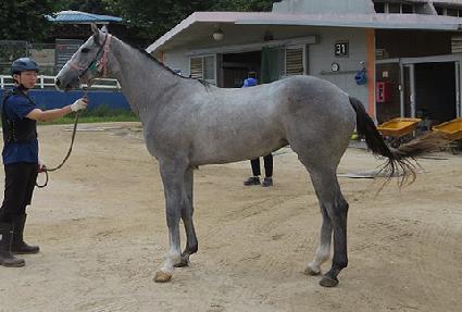 ���ʹ��� ����