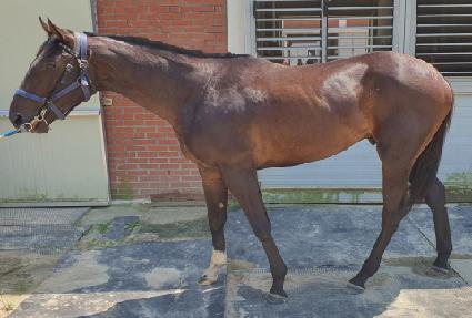 �ϵ��� ����