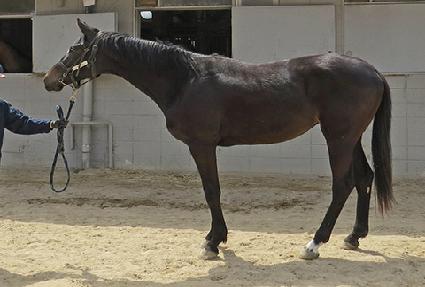 ����� ����