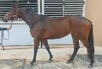 ���ÿ��� (SIMPLE YEOGEOL) ����