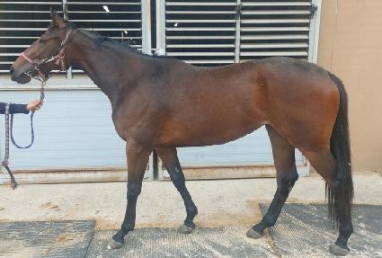 ���ÿ��� ����