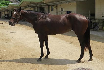 �׸����ڵ� ����