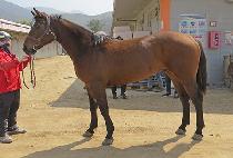 �빰�轺 (DAEMUL SOCKS) ����