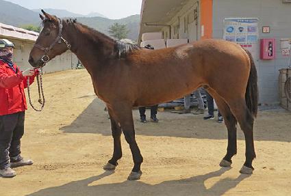 �빰�轺 ����