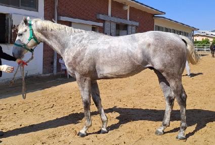 �帲���� ����