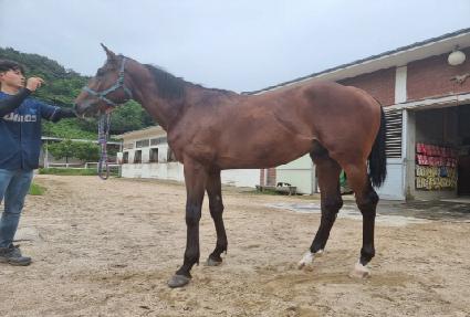 ������ ����