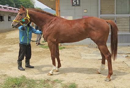 �����巡�� ����