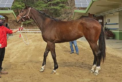 ī�ϸ� ����