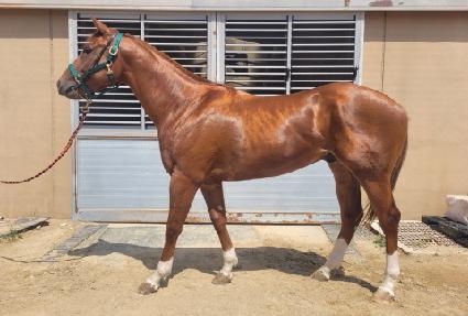 ���ֺ���Ʈ ����