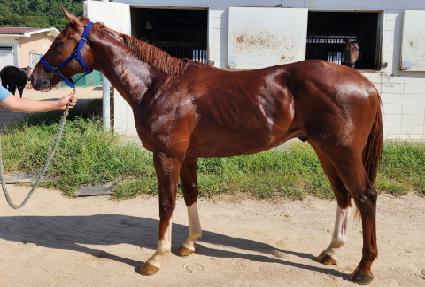 ���� ����