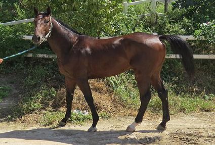 �����̸� ����