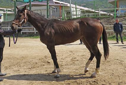 �긮������ ����