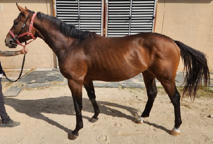 ��Ÿ����Ÿ ����