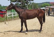 �������ο� (CHAMJOEUN INYEON) ����