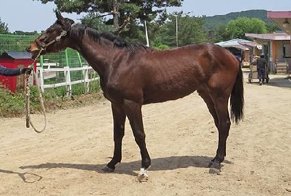 �������ο� ����