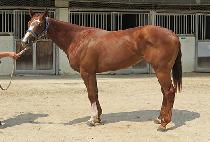 ����Ķ�븶 (RAON PARANOMA) ����