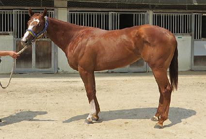 ����Ķ�븶 ����