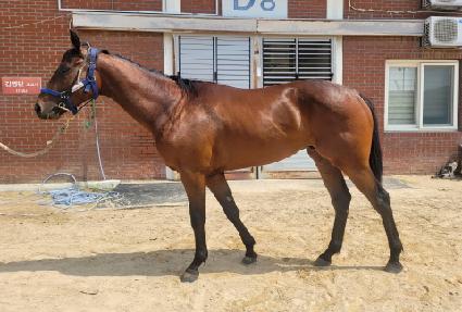 ���������Ҷ� ����