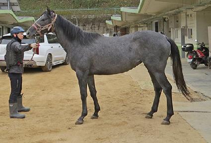 �����̽�Ÿ ����