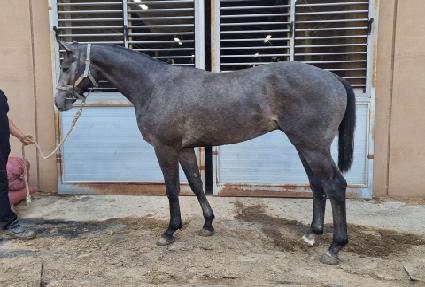 ��Ʈŷ���� ����