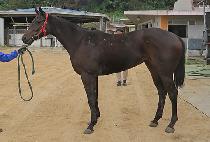 EAST KING STONE picture