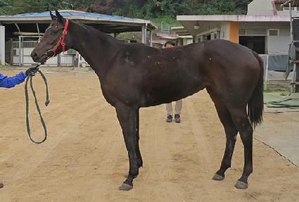 �̽�Ʈŷ���� ����