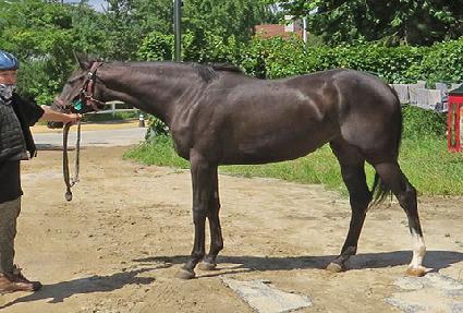 �ƽ������ ����