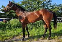 ȯ��ô� (HWANHUI SIDAE) ����