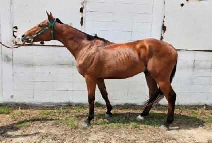 �ö��׾��̽� ����