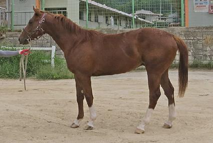 ��ü��ī�߷� ����