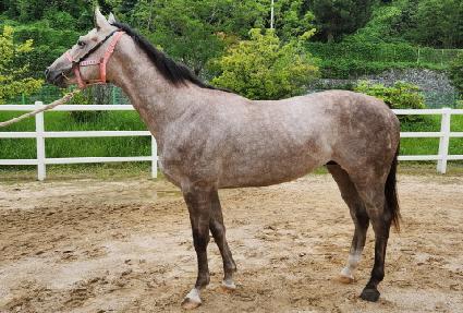 ĸƾ���긮�� ����