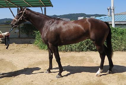 ��긮�� ����