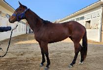 �¿տ��� (TAEWANG YEOSIN) ����