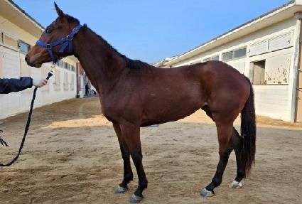 �¿տ��� ����