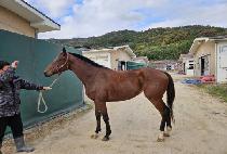 �̸�õ�� (MIREUK CHEONWANG) ����