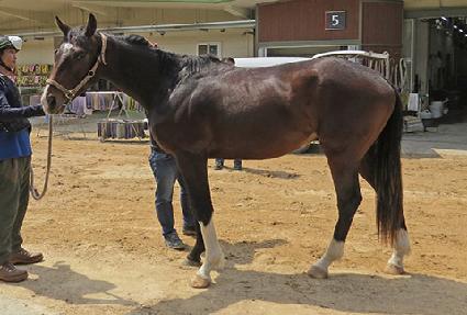 �׷���Ʈ���� ����