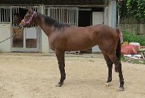 ���ɶ��� (LEGAL LAHUI) ����