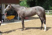 ��Ŭ����Ʈ (SHACKLE POINT) ����