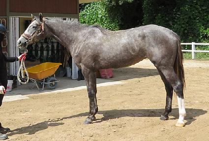 ��Ŭ����Ʈ ����