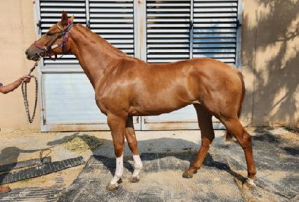 ��������Ǯ ����