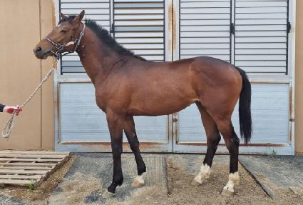 �������� ����