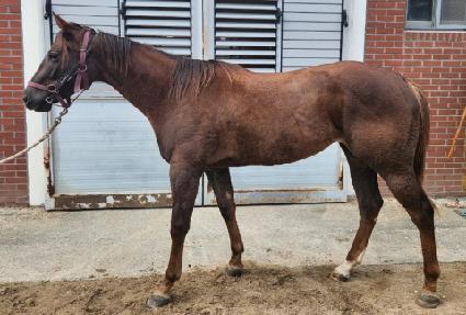 �ö��״ٴ� ����