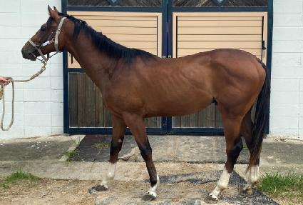 õ�ϻ�� ����